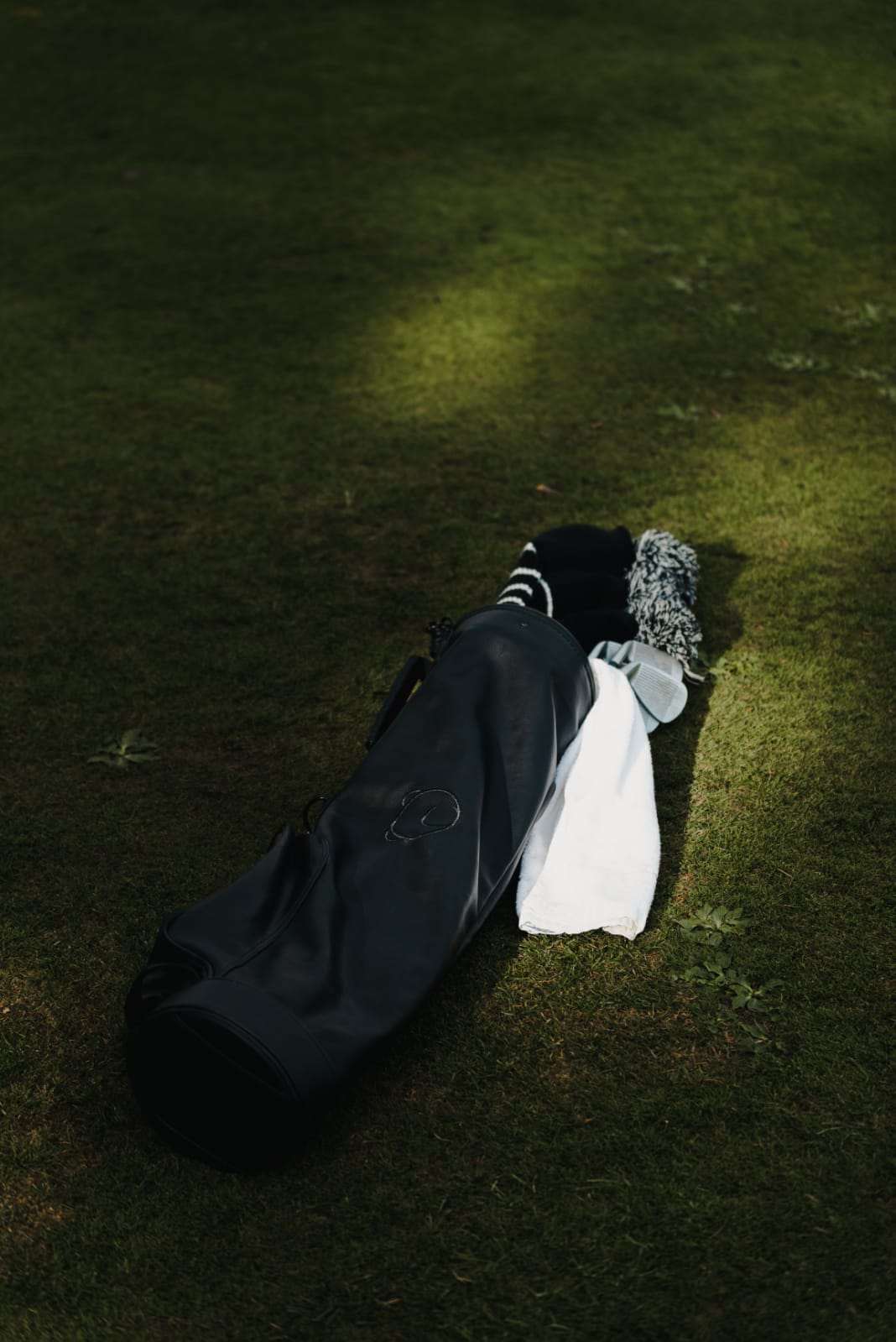 Leather Golf Bag - Black/Black